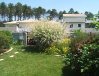 Mon coin fleuri