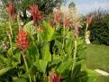 IMG 20140622 183824