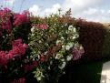 IMG 20140806 164407