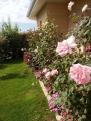 IMG 20140804 110737