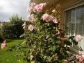 IMG 20140714 103927