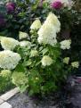 IMG 20140714 104102