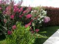 IMG 20140806 164337
