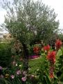 IMG 20140703 142750