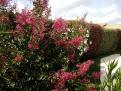IMG 20140806 164347