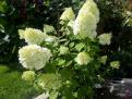IMG 20140714 103816