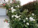 img 2014 1 225